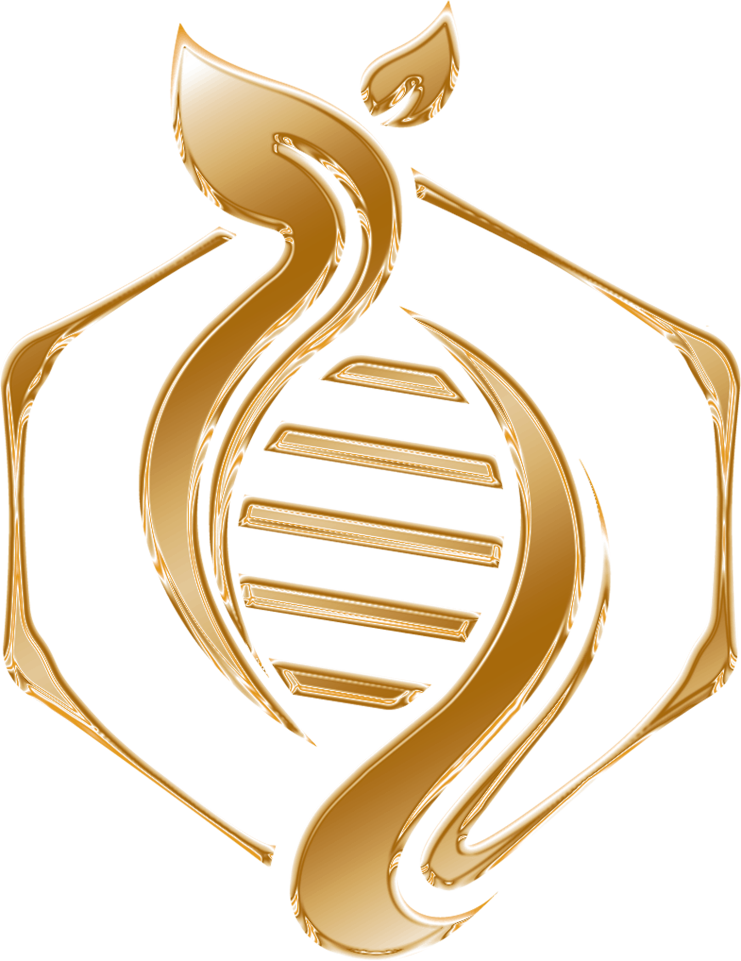 Testosterone Booster